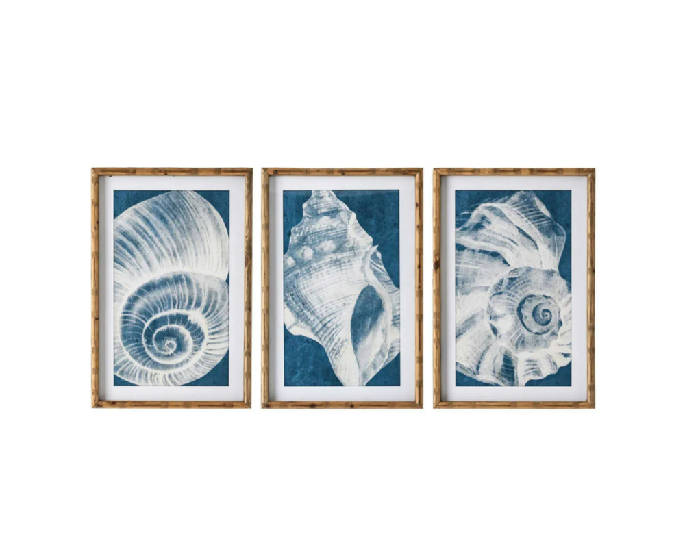 Elouera Vintage Shells Wall Art - Set of 3