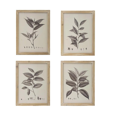 Chelsea Botanical Wall Décor Set 4