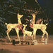 Acrylic Reindeer Family Christmas Decoration 300 Led