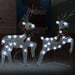 Christmas Reindeers 2 Pcs 40 Leds