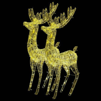 Xxl Acrylic Christmas Reindeers 250 Led 2 Pcs 180 Cm