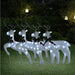 Christmas Reindeers 2 Pcs 40 Leds