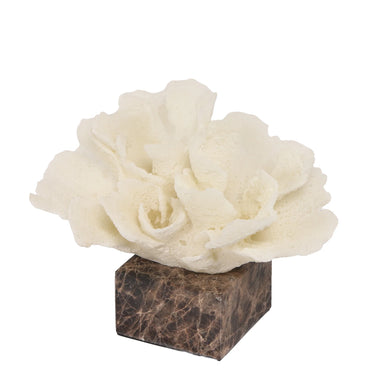 Showcasing Molara Coral Marble Sculpture - Beige AC10709-KM  by Calibre Furniturs