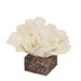 Showcasing Molara Coral Marble Sculpture - Beige AC10709-KM  by Calibre Furniturs