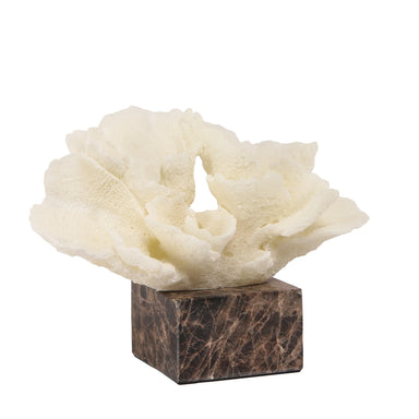 Showcasing Molara Coral Marble Sculpture - Beige AC10709-KM  by Calibre Furniturs