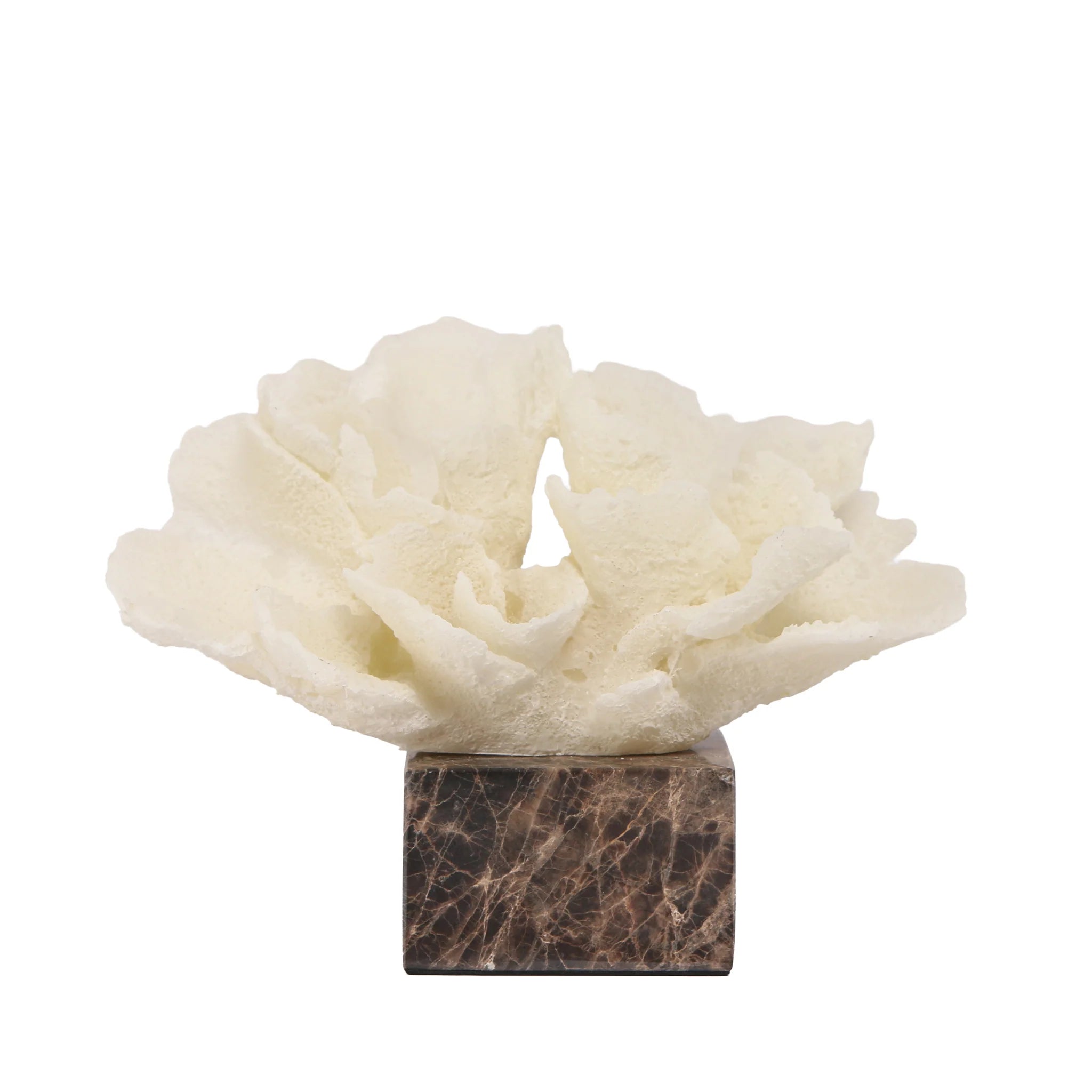 Showcasing Molara Coral Marble Sculpture - Beige AC10709-KM  by Calibre Furniturs