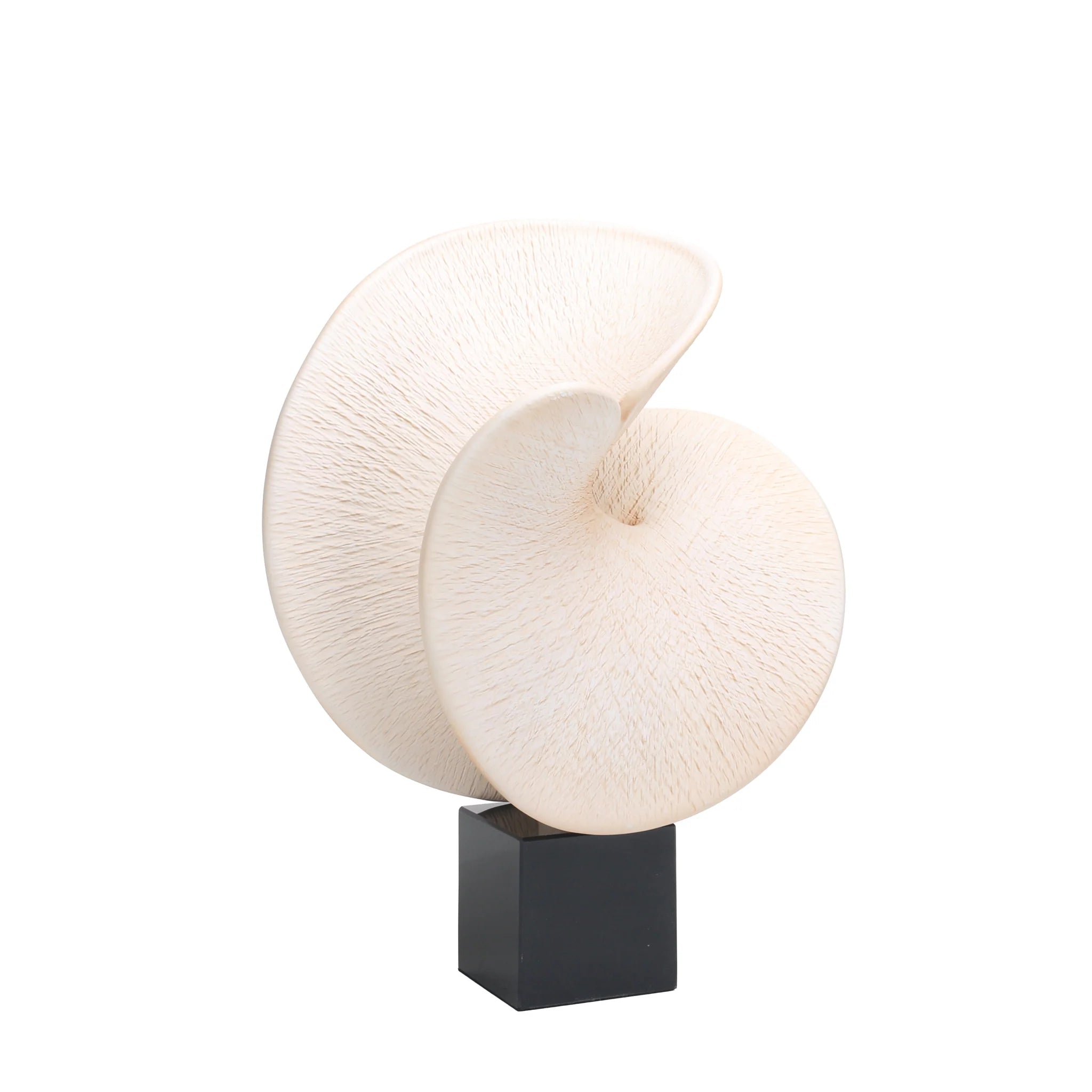 Showcasing Nanuvera Shell Look Sculpture - Beige AC10718-KM  by Calibre Furniturs