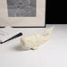Showcasing Minenilo Sandstone Whale Bookend - White FC-SZ23035  by Calibre Furniturs