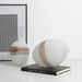 Showcasing Kopavera Flowing Vase A - White FB-E23020A Vase by Calibre Furniturs