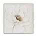 Showcasing Vaguvera 80 x 80cm Framed Canvas - Natural AR12187-CLO Artwork by Calibre Furniturs