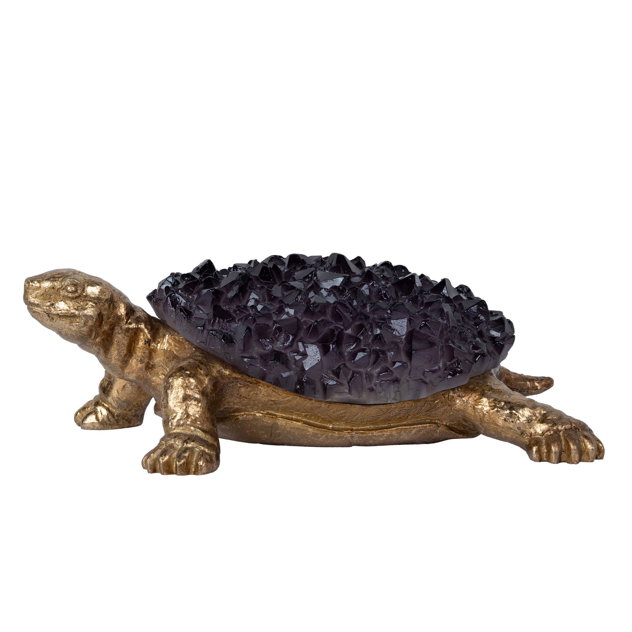 Purple-robed Golden Tortoise
