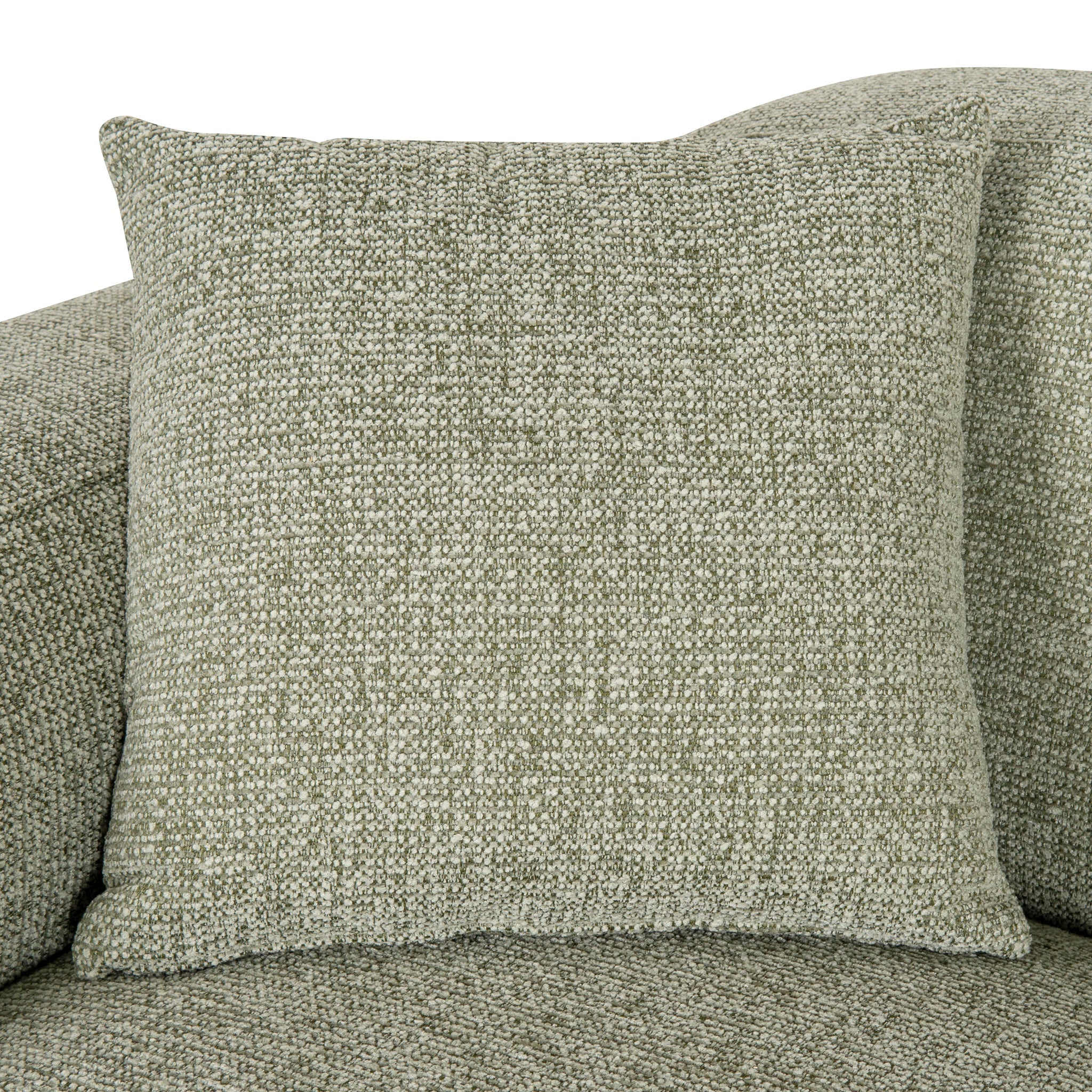 CLC10090-OLS 2 Seater Sofa - Coral Light Green