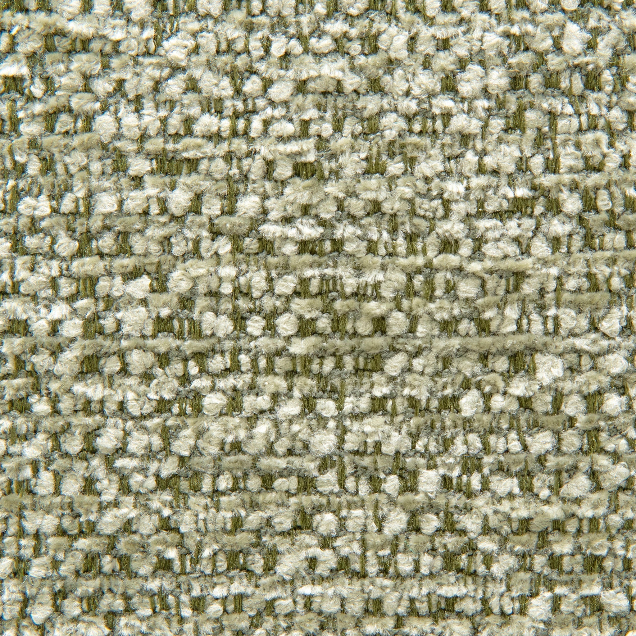 CLC10090-OLS 2 Seater Sofa - Coral Light Green