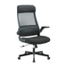 Showcasing Tipacora Mesh Ergonomic Office Chair - Black OC8251-UN Office Chair by Calibre Furniturs