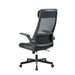 Showcasing Tipacora Mesh Ergonomic Office Chair - Black OC8251-UN Office Chair by Calibre Furniturs