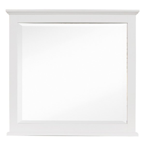 Sansa Mirror