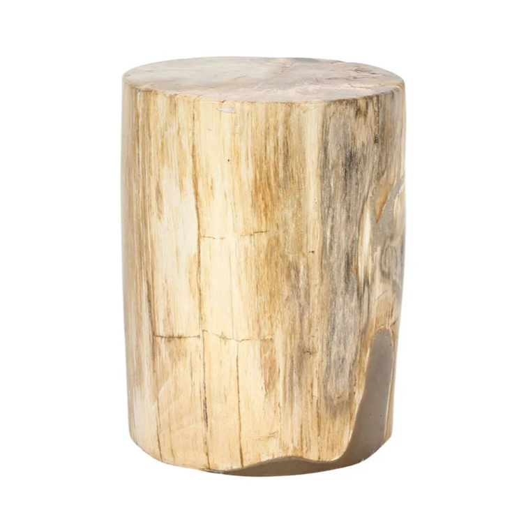 Binga Petrified Wood Table - Natural