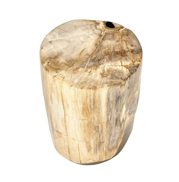 Binga Petrified Wood Table - Natural