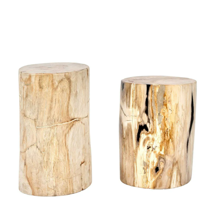 Binga Petrified Wood Stool/Table - Natural