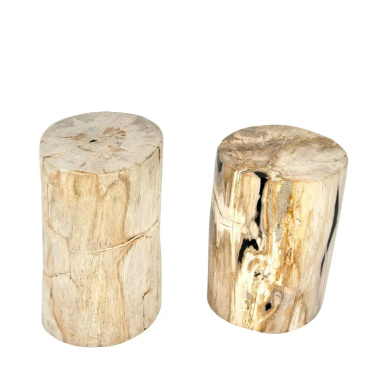 Binga Petrified Wood Stool/Table - Natural