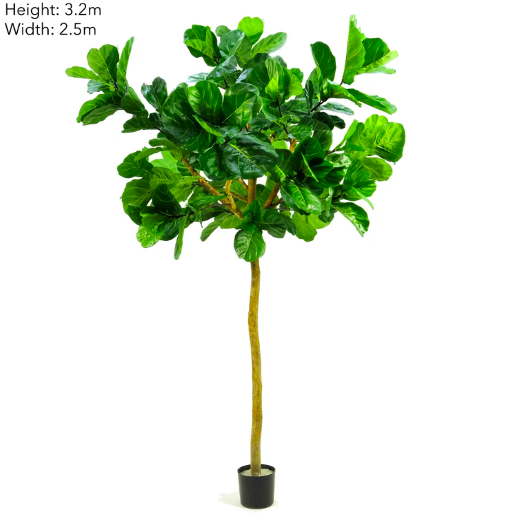 Artificial Fiddle Leaf Giant Tree 3.2m