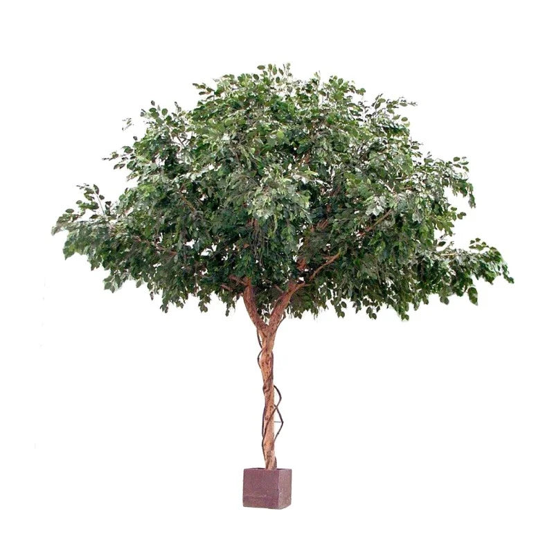 Artificial Ficus Exotica Giant Tree 3m