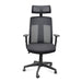 Showcasing Diparia Mesh Office Chair - Black OC2228-LF Office Chair by Calibre Furniturs