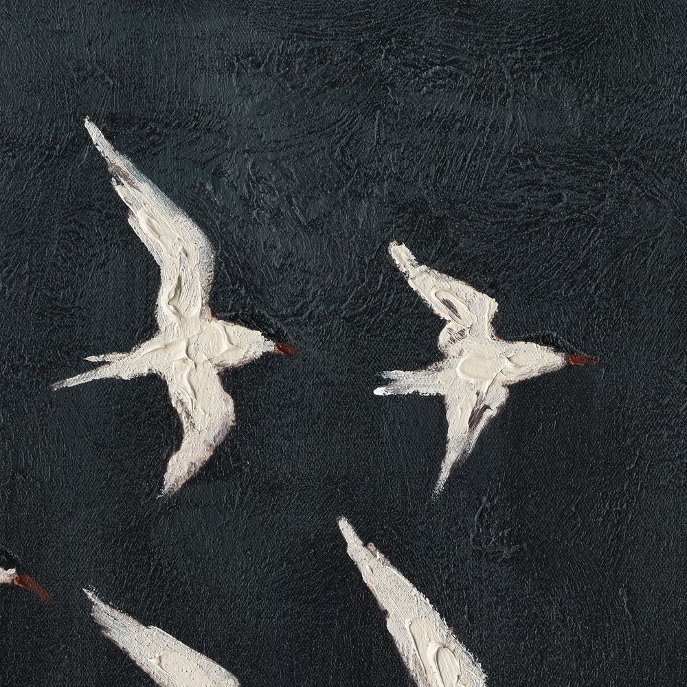 Midnight Wing Canvas Painting