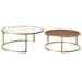 Chloe Glass and Timber Nesting Coffee Table - Gold