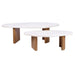 Solstice Ivory Cloud Marble Coffee Tables Set of 2 - Oak