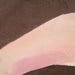 Abstract Forms Canvas Painting