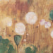 Dreams Canvas Painting