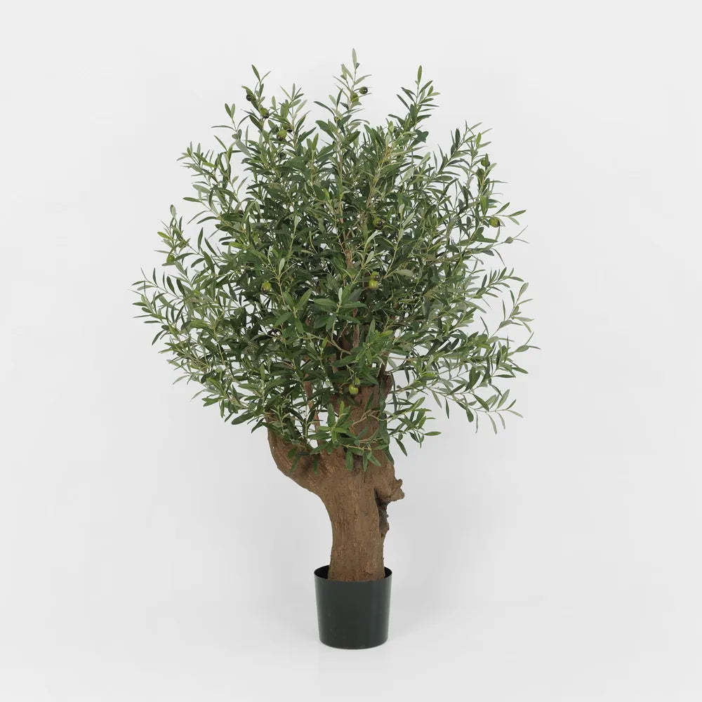 Giant Olive Tree With 3468 Leaves & 42 Fruits Green 110cm