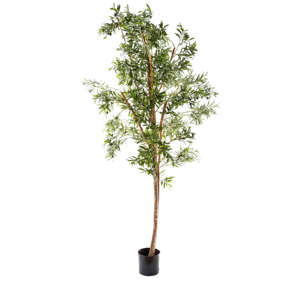 Artificial Olive Tree 2.4m - Green