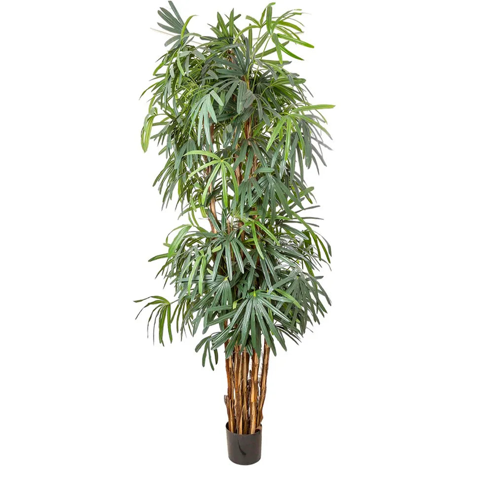 Artificial Raphis Thin Leaf Palm Tree 2.4m