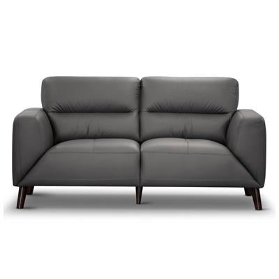 Sonoma Leather Sofa Set