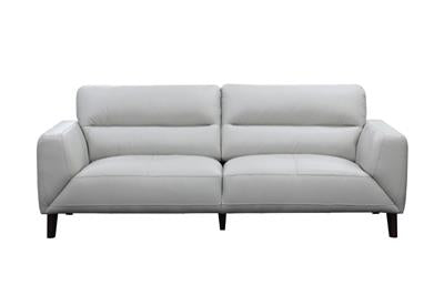 Sonoma Leather Sofa Set