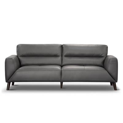 Sonoma Leather Sofa Set