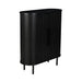 Zen 2 Door Storage Cabinet - Black
