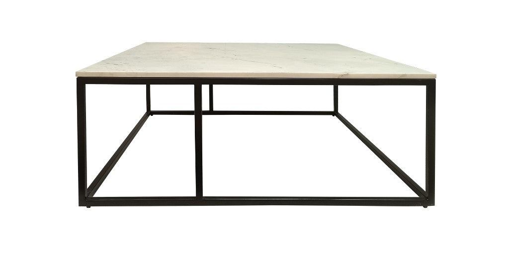 Carrara Marble Coffee Table - Black/White